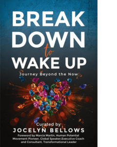 Jocelyn Bellows - break down to wake up cover